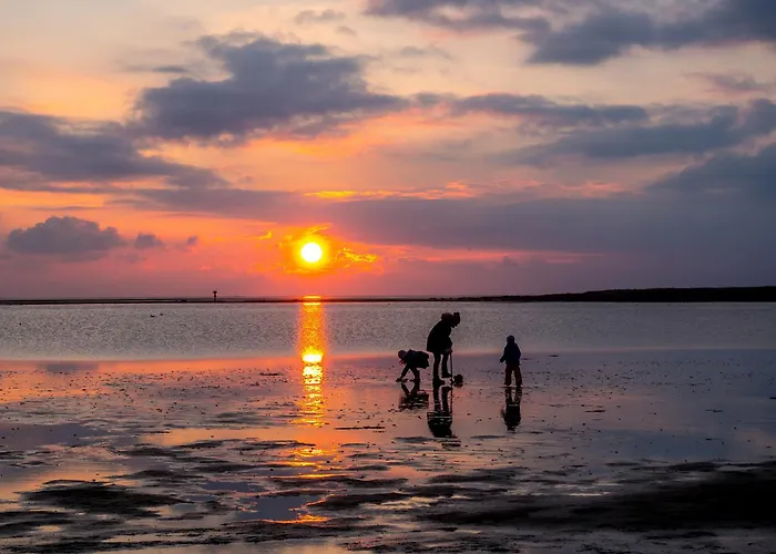 Sieltrift 4-06 دورم نيوفيلد