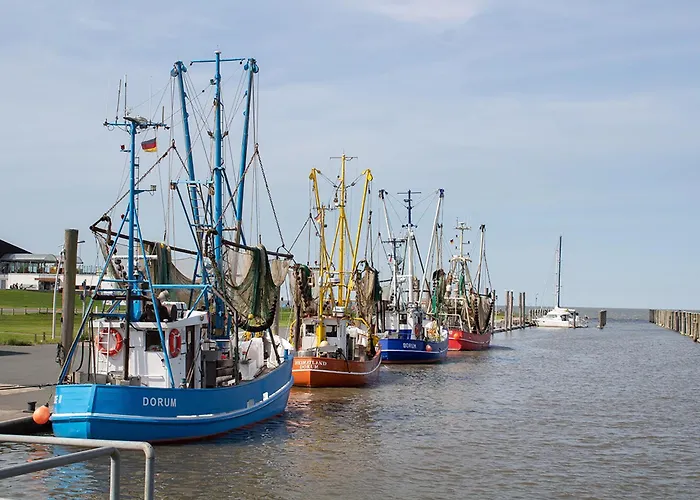 Sieltrift 4-06 شقة دورم نيوفيلد